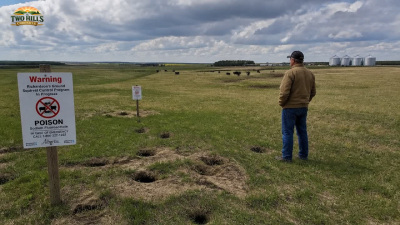 Alberta Reinstates Liquid Strychnine for Ground Squirrel Control Under New Stewardship Rules