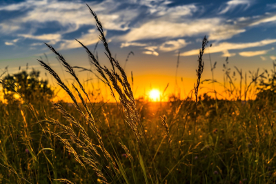 Farm Operators Across Canada Preparing for 2026 Census of Agriculture
