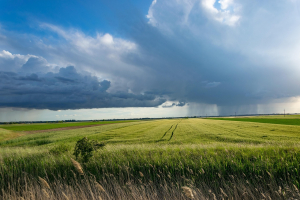 New Federal Funding Aims to Support Canadian Agricultural Exporters Amid Global Market Uncertainty