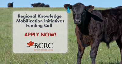 Beef Research Council Opens Funding Applications for Producer Knowledge-Sharing Initiatives