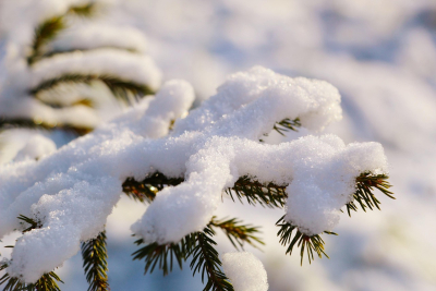 Looking Out for One Another: Winter Pressures and the Cost of Staying Warm in Alberta