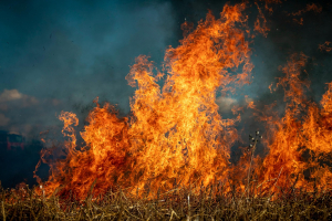 Alberta Secures Locally Built Waterbombers to Strengthen Wildfire Protection