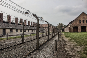 Premier Issues Statement Marking International Holocaust Remembrance Day