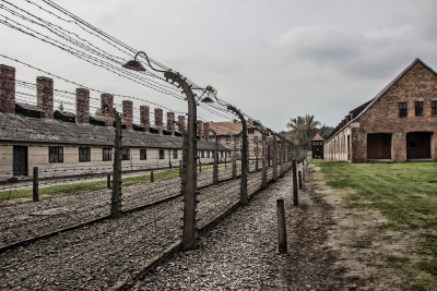 Premier Issues Statement Marking International Holocaust Remembrance Day